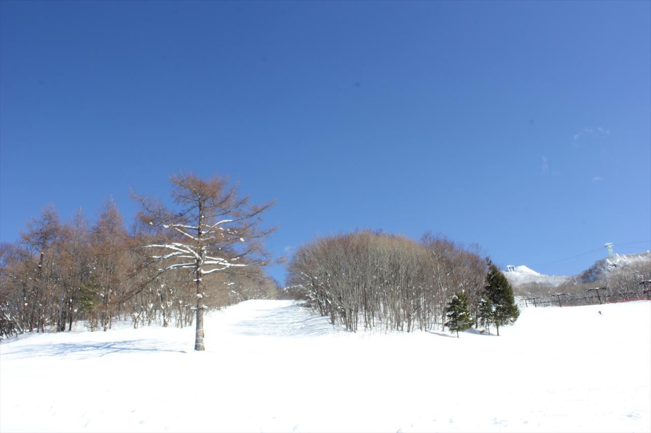 Snow Freak Sunrise Hotel Yamagata (Yamagata)